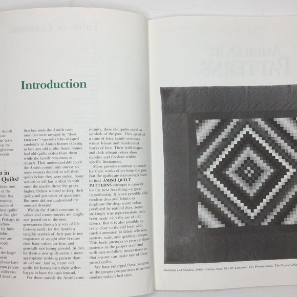 Amish Quilt Patterns Rachel T. Pellman Paperback Book Design Template Projects 1 - Picture 3 of 13